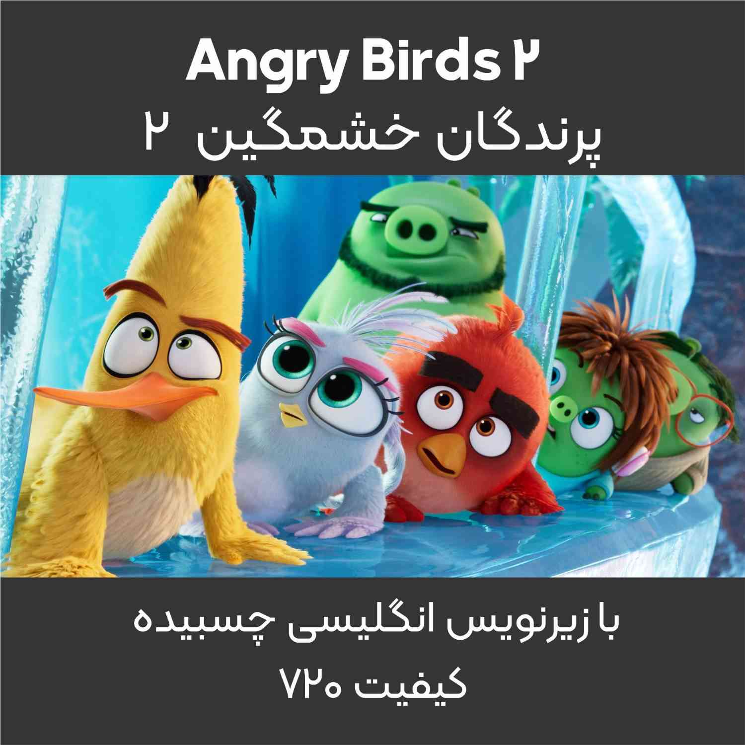 Angry_birds_2_پرندگان_خشمگین